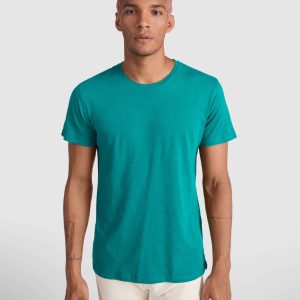 Camiseta Terrier de Roly