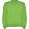 Sudadera Clasica de Roly — variación