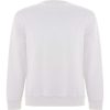 Sudadera Batian de Roly — variación