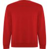 Sudadera Batian de Roly — variación