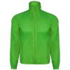 Kentucky — Talla: L, Color: LIMA