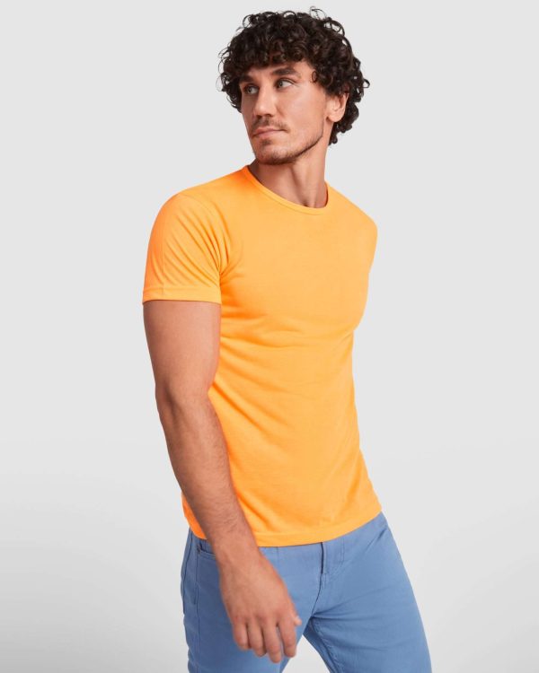Camiseta Akita de Roly - Imagen 2