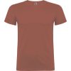 Camiseta Beagle de Roly — Talla: XS, Color: TEJA
