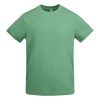 Camiseta Veza de Roly — Talla: S, Color: MENTA OSCURO