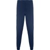 Pantalón Fiber de Roly — variación