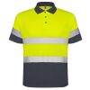 Polo Polaris de Roly — variación