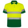 Polo Polaris de Roly — variación