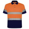 Polo Polaris de Roly — variación