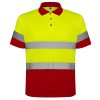 Polo Polaris de Roly — variación