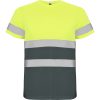 Camiseta Delta de Roly — variación