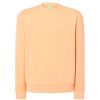 Sudadera Sweatshirt Unisex de Jhk — variación