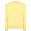 Sudadera Sweatshirt Unisex de Jhk — variación