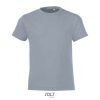 Camiseta Regent Fit Kids de Sol'S — Talla: 12A, Color: Gris puro