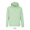 Sudadera Condor de Sol’S — variación