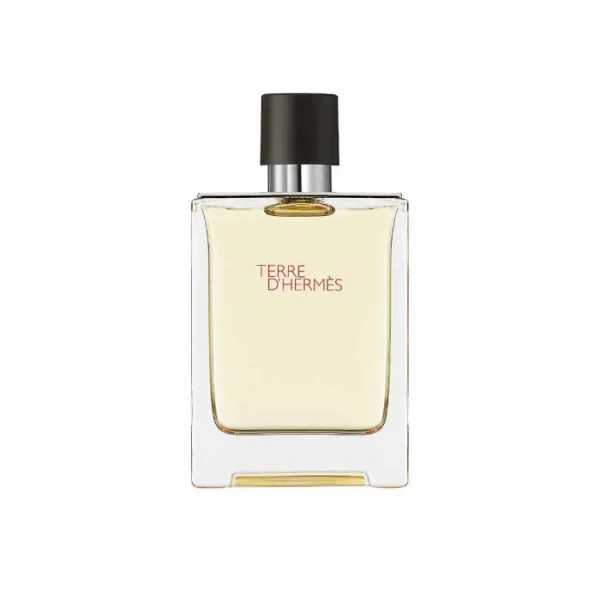 Hermes Terre D'Hermes Eau De Toilette Spray 100ml