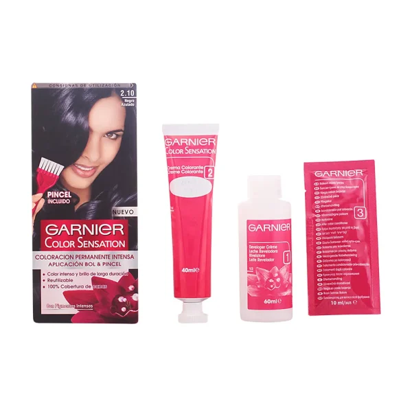 Garnier Color Sensation 2.10 Negro Azulado
