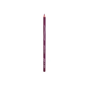 Wet N Wild Perfilador De Labios Color Icon E664C Fab Fuchsia