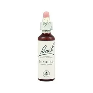 Bach 06 Cherry Plum 20ml