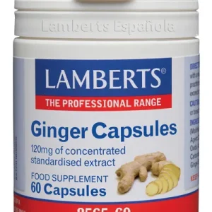 Lamberts Ginger Extracto Jengibre 60 Caps