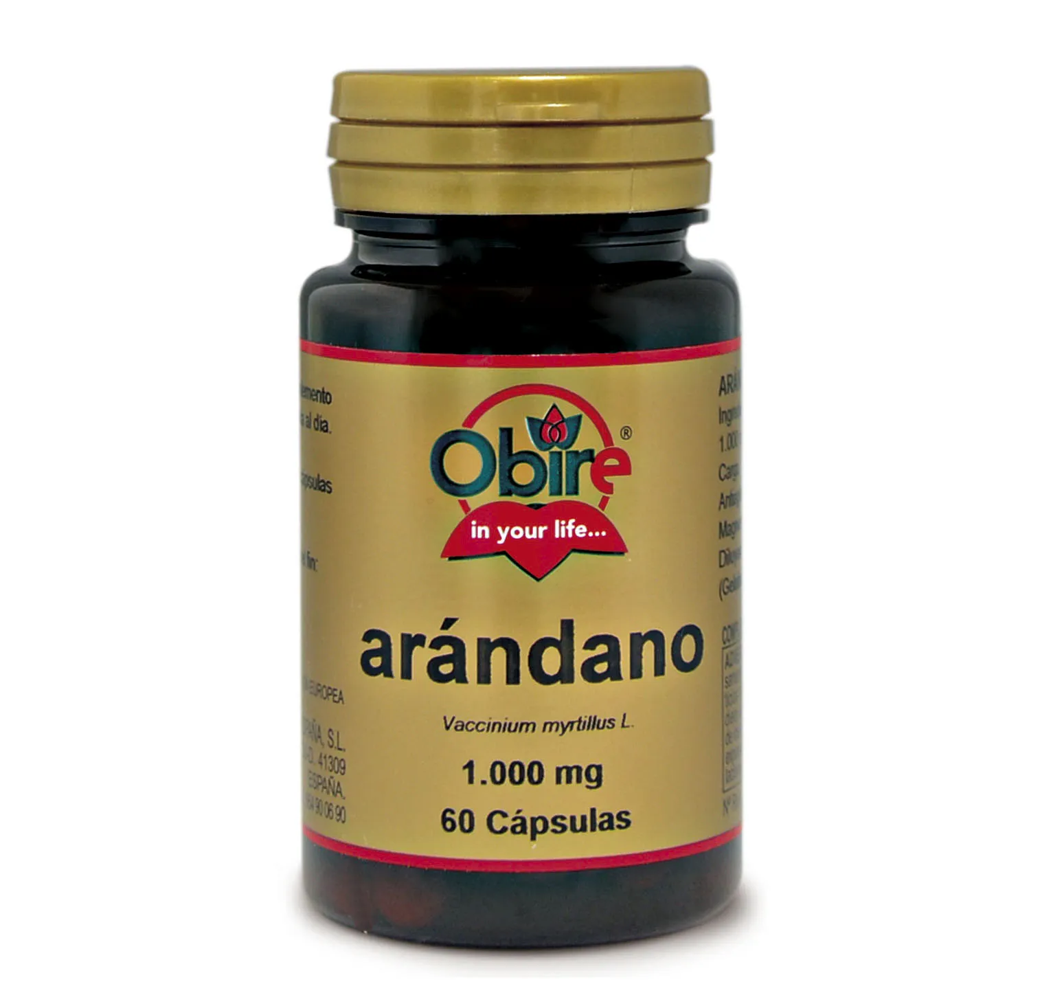 Obire Arandano 1000 Mg 60 Caps 1 Obire Arandano 1000 Mg 60 Caps